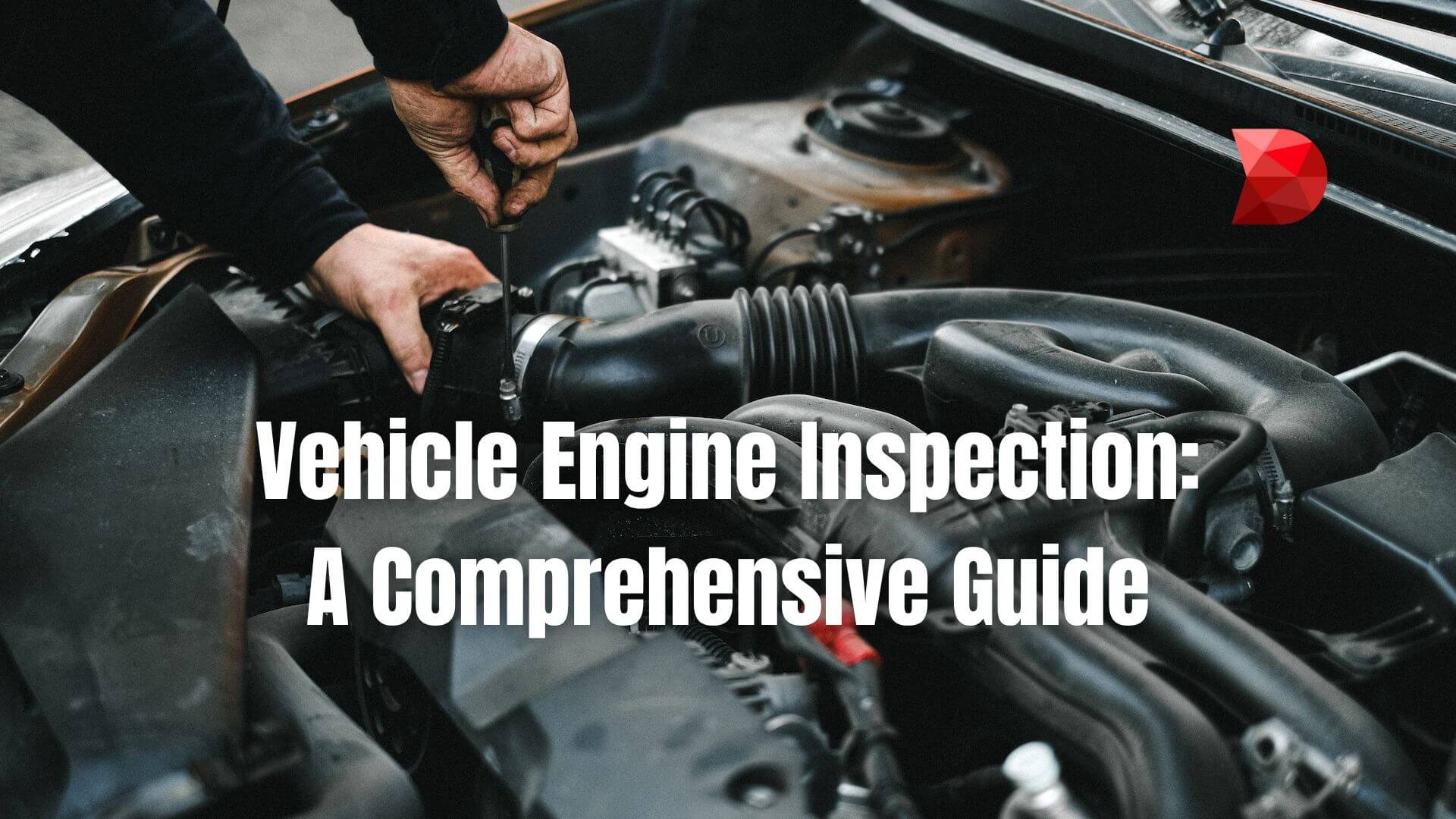 Vehicle Inspections